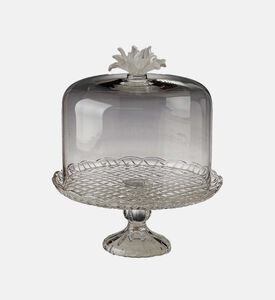 قاعدة زجاجية بيدستال مع قبة زجاجية