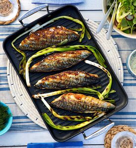 Large Nonstick Rectangular Grill