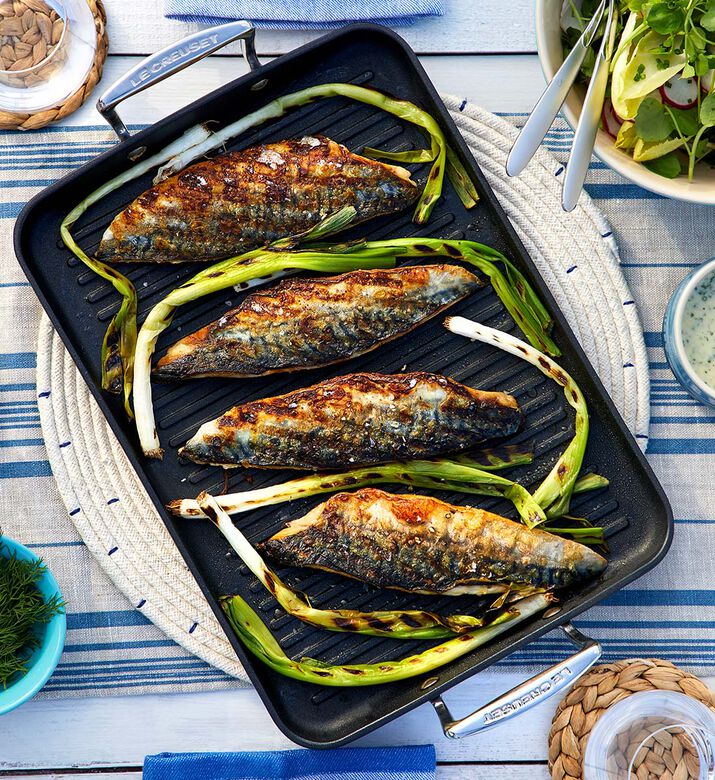 Large Nonstick Rectangular Grill