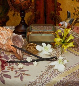 The Alchemist's Garden A Chant For The Nymph Eau De Parfum