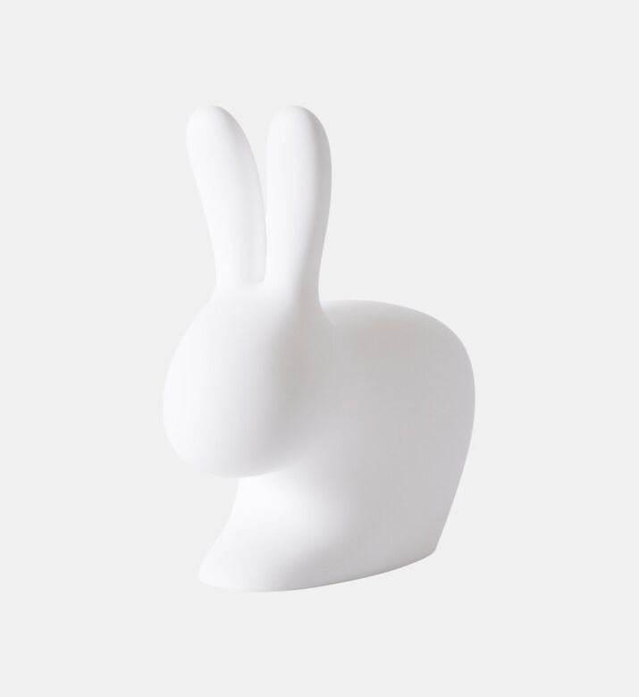 Rabbit Thermoplastic Chair