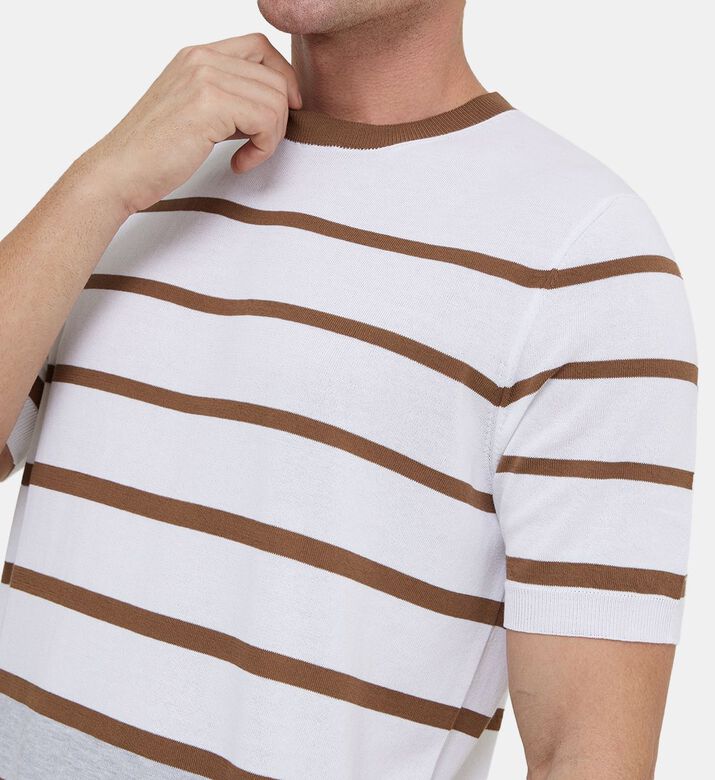 Cotton Stripped Crewneck T-shirt
