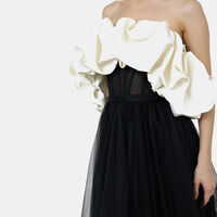 Layered Tulle Ruffled Top Dress