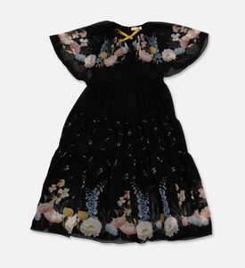 Eirene Dress Chiffon, Packshot View