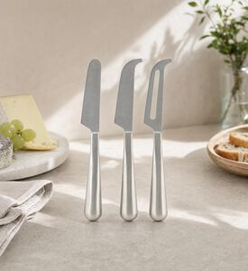 Salt and Pepper Stainless Steel Cheese Knife Set- 25 Cm, Model View