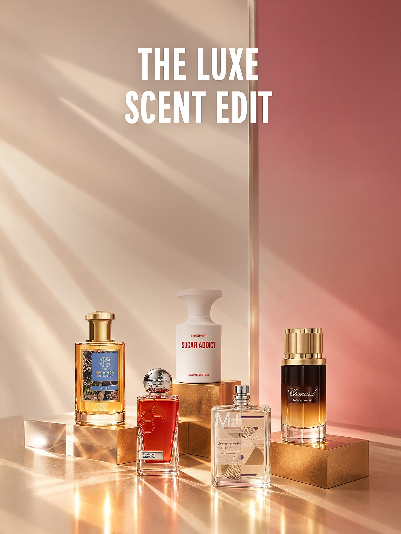 Image with light background and logo