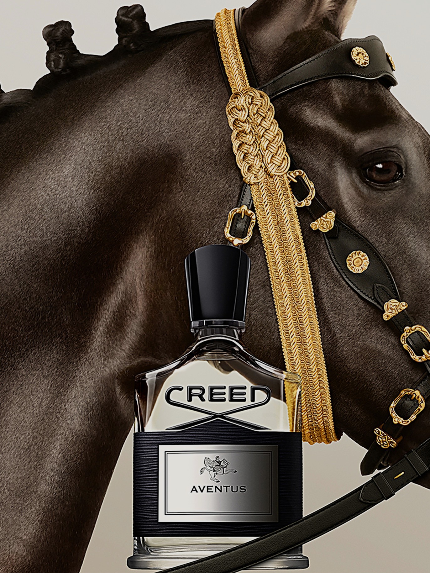 Image of Aventus EDP