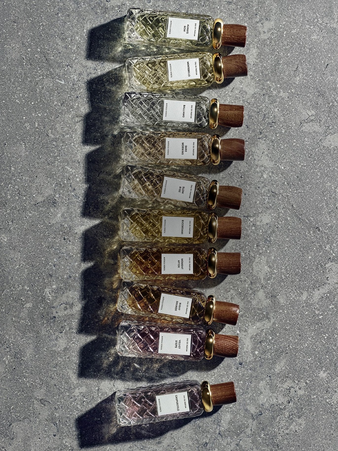 Image of Bottega Veneta Alta Collection